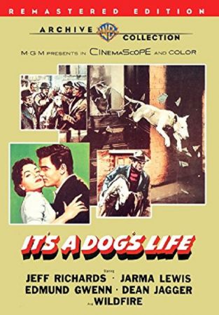 It's a Dogs Life 1955 DVDRip XViD