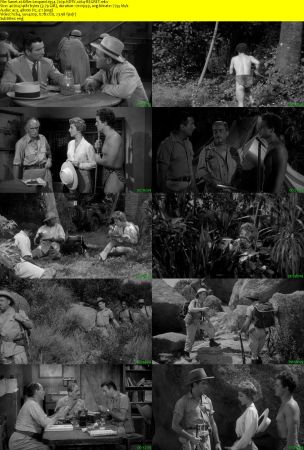 Killer Leopard 1954 720p HDTV x264-REGRET