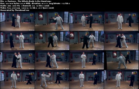 Mastering Tai Chi