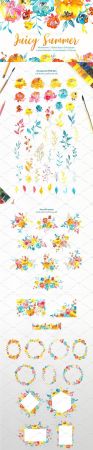 Watercolor Summer Flowers Collection - 2536576