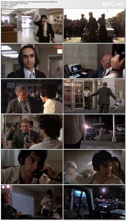 Dog Day Afternoon 1975 1080p BluRay H264 AAC-RARBG