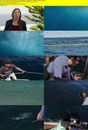 Smithsonian Earth - Shark Squad: Series 1 (2017) 1080p HDTV x264 AAC MVGroup
