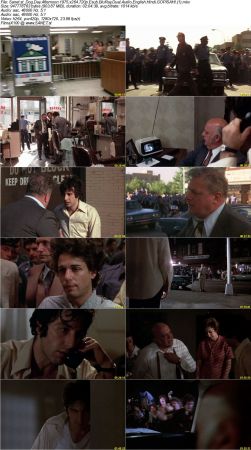 Dog Day Afternoon 1975 x264 720p Esub BluRay Dual Audio English Hindi GOPISAHI