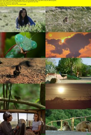 BBC - Animals Behaving Badly Series 1 (2018) 720p HDTV x264 AAC MVGroup