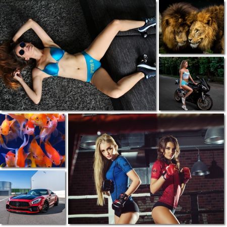 Picture Wallpaper Pack 1175