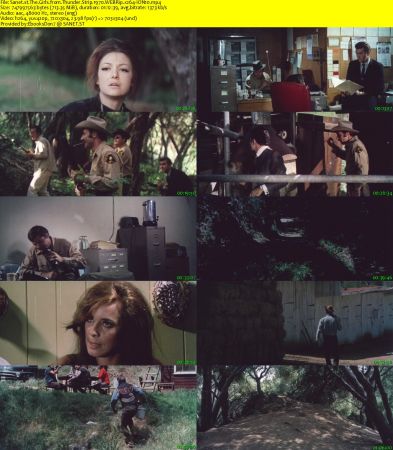 The Girls from Thunder Strip 1970 WEBRip x264-ION10