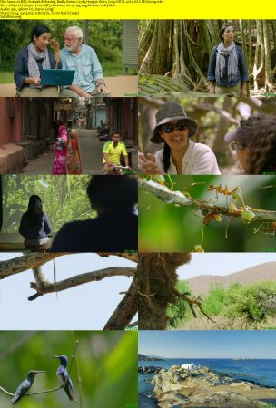 BBC - Animals Behaving Badly Series 1 (2018) 720p HDTV x264 AAC MVGroup