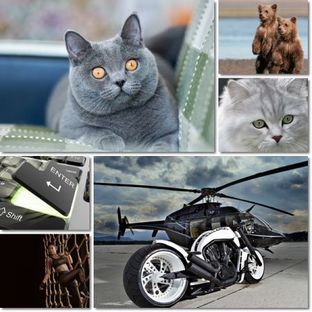Desktop Beautiful Wallpapers Pack 1176