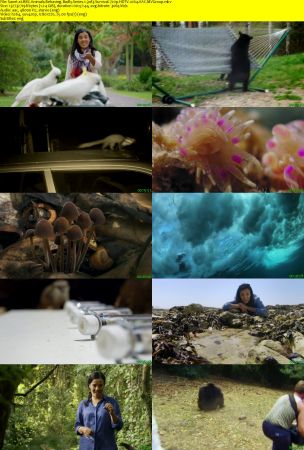 BBC - Animals Behaving Badly Series 1 (2018) 720p HDTV x264 AAC MVGroup