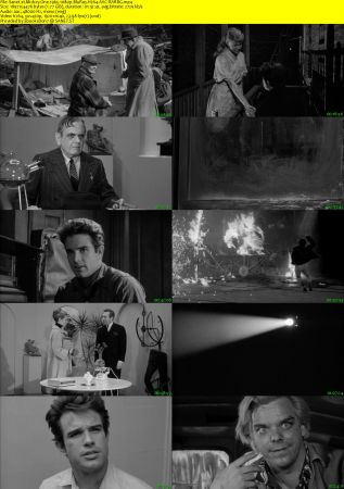 Mickey One 1965 1080p BluRay H264 AAC-RARBG