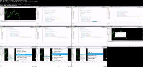 Algorithmic Trading In Forex: Create Your First Forex Robot!