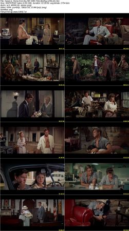 Home from the Hill 1960 720p BluRay x264-x0r