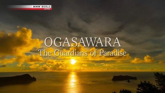 NHK - Ogasawara: The Guardians of Paradise (2018) 720p HDTV x264 AAC MVGroup