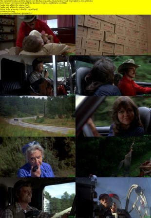 Smokey and the Bandit 1977 BluRay 720p x264 Dual Audio Hindi Org-English Hon3yHD