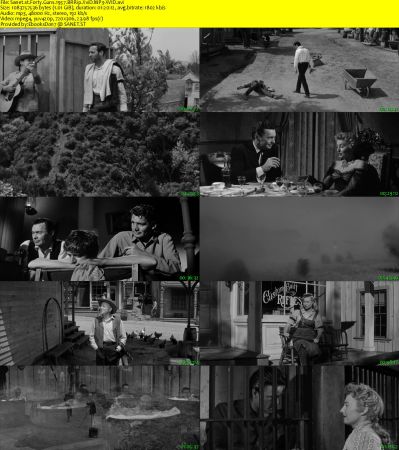 Forty Guns 1957 BRRip XviD MP3-XVID