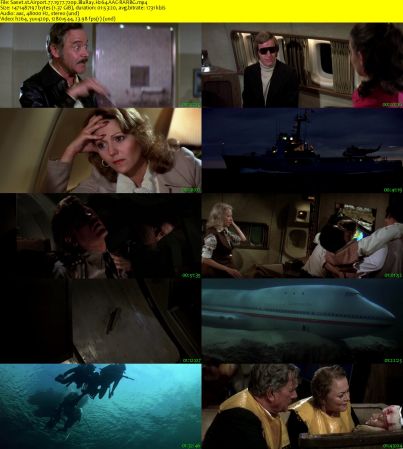 Airport 77 1977 720p BluRay H264 AAC-RARBG