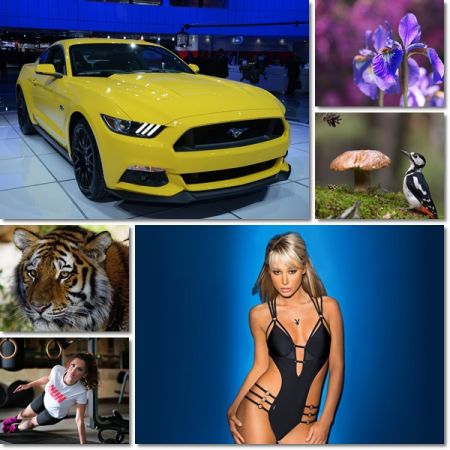 Beautiful Wallpapers Pack 1189