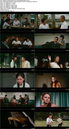 The Big Boss 1971 720p BluRay x264-x0r