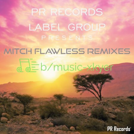VA - PR Records Label Group Presents Mitch Flawless Remixes (2018)