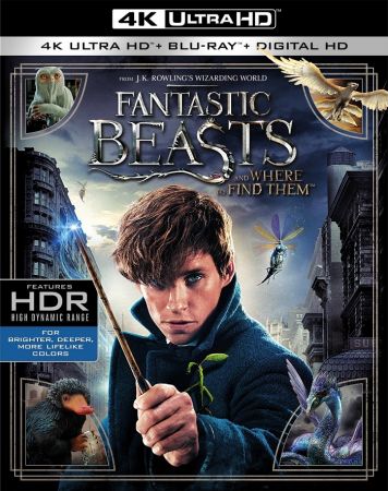 Fantastic Beasts and Where to Find Them 2016 2160p HDR 5.1 x265 10bit PhunPsyz