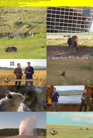 Nat. Geo. - Yellowstone Live: Series 1 (2018) 720p HDTV x264 AAC MVGroup