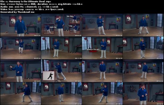 Mastering Tai Chi