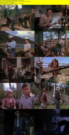 My Friend Flicka 1943 WEBRip x264-ION10