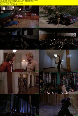 The Octagon 1980 1080p H264 AC3 DTS 5.1 Remastered nickarad