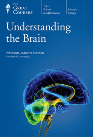 Understanding the Brain