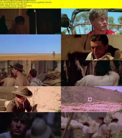 Gallipoli 1981 BRRip XviD MP3-XVID