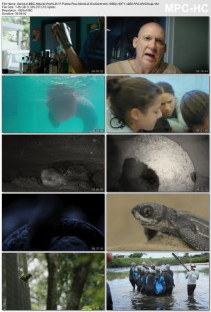 BBC Natural World - Puerto Rico: Island of Enchantment (2017) 1080p HDTV x265 AAC MVGroup
