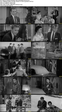 A Strange Adventure 1956 720p BluRay x264-x0r
