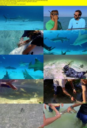 Smithsonian Earth - Shark Squad: Series 1 (2017) 1080p HDTV x264 AAC MVGroup