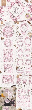 Pink Crisp - 2025194