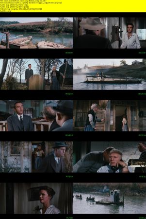 Wild River 1960 720p BluRay x264-x0r