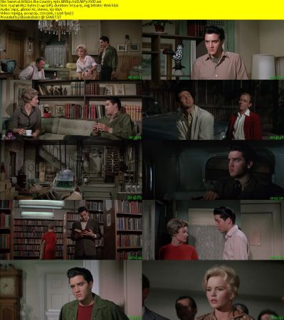 Wild in the Country 1961 BRRip XviD MP3-XVID