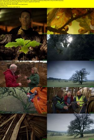 BBC - Oak Tree: Nature's Greatest Survivor Series 1 (2015) 1080p HDTV x264 AAC MVGroup