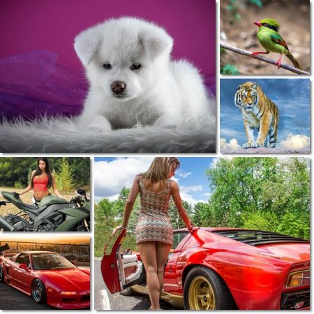 Beautiful Wallpapers Pack 1159