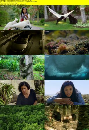 BBC - Animals Behaving Badly: Survival (2018) 720p HDTV x264-TVC