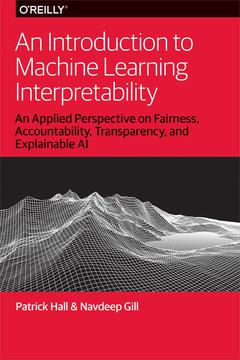 An Introduction to Machine Learning Interpretability