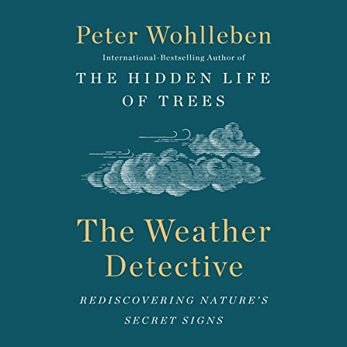 The Weather DetectiveAudiobook