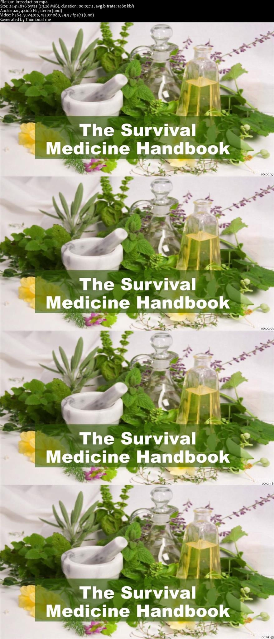 Download Natural Remedies: Learn how to Cure Common Illnesses Fast