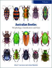 Australian Beetles Volume 1