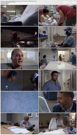 NOVA S45E08 Transplanting Hope 720p HEVC x265-MeGusta