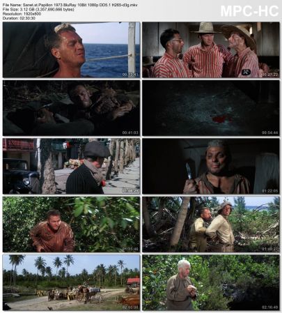 Papillon 1973 BluRay 10Bit 1080p DD5.1 H265-d3g