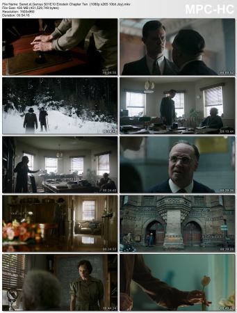 Genius 2017 Season 01 1080p WEBRip x265 HEVC 10bit AAC 5.1 Joy UTR