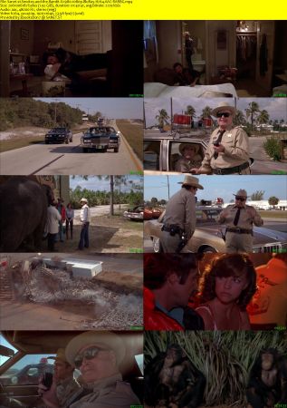 Smokey and the Bandit II 1980 1080p BluRay H264 AAC-RARBG