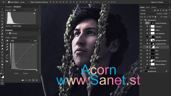  Mastering Portrait Editing in Photoshop