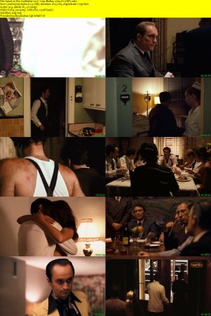 The Godfather Trilogy 1972-1990 720p BluRay x264 AC3-RPG