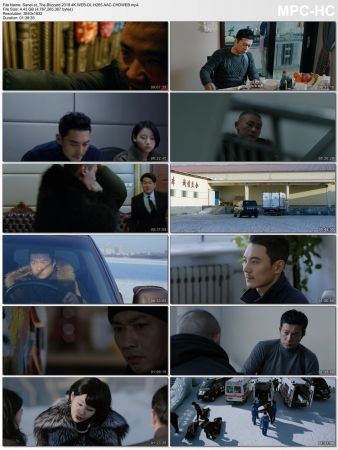 The Blizzard 2018 4K WEB-DL H265 AAC-CHDWEB